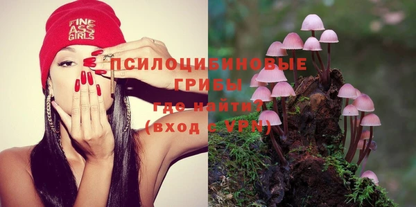 ПСИЛОЦИБИНОВЫЕ ГРИБЫ Аркадак
