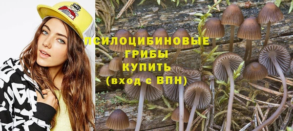 ПСИЛОЦИБИНОВЫЕ ГРИБЫ Аркадак